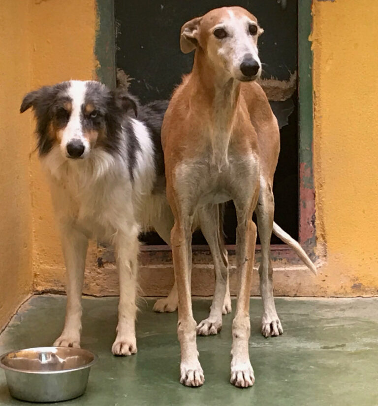 multimedia-foto53222-289-1