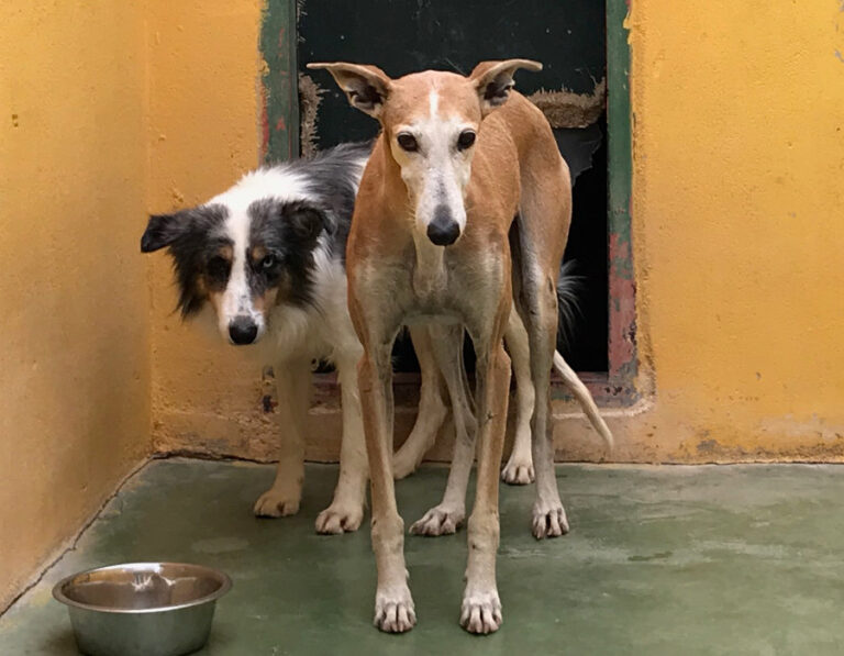 multimedia-foto53223-289-1