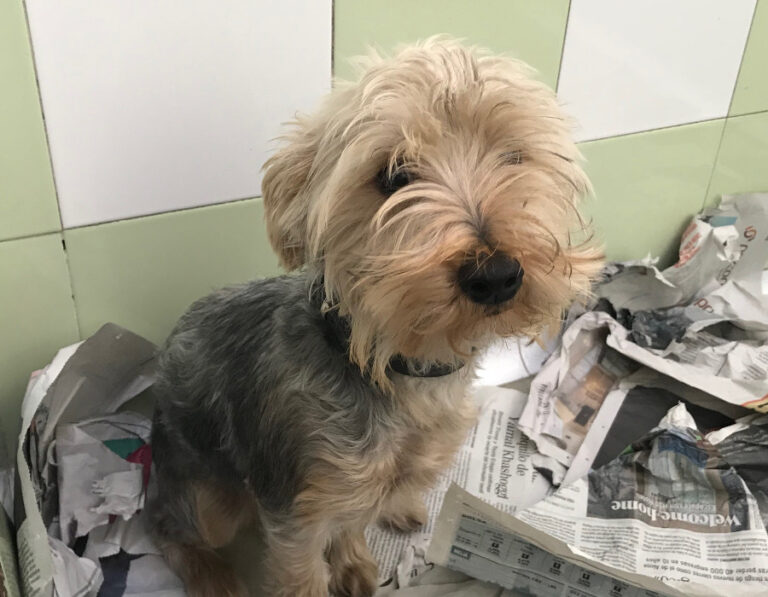 multimedia-foto53240-244-1