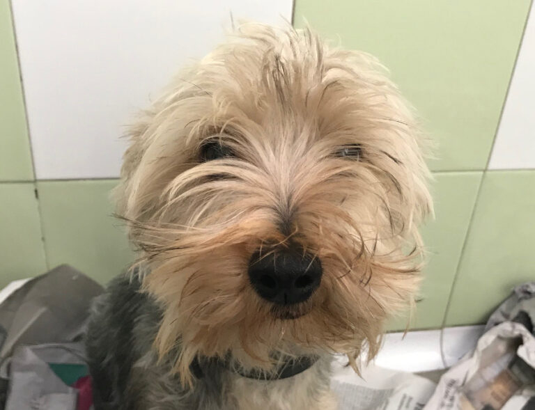 multimedia-foto53241-244-1