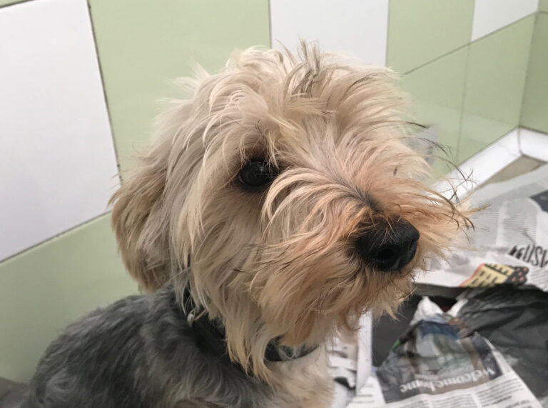 multimedia-foto53242-245-1