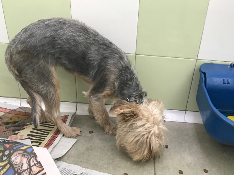 multimedia-foto53243-245-1