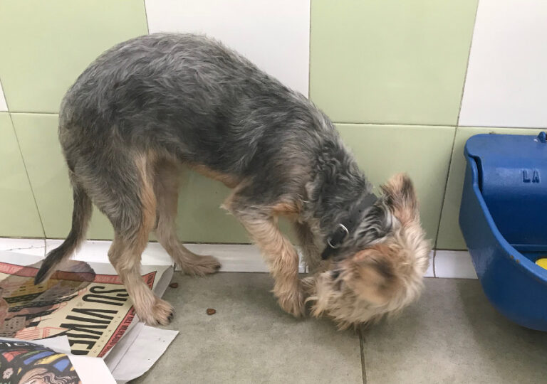 multimedia-foto53244-245-1