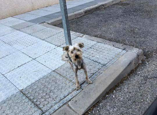 multimedia-foto53245-57-1