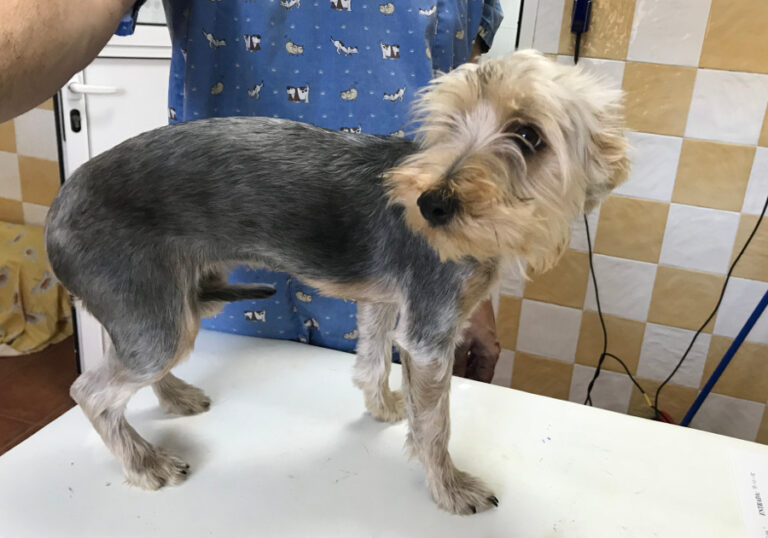 multimedia-foto53246-878-1