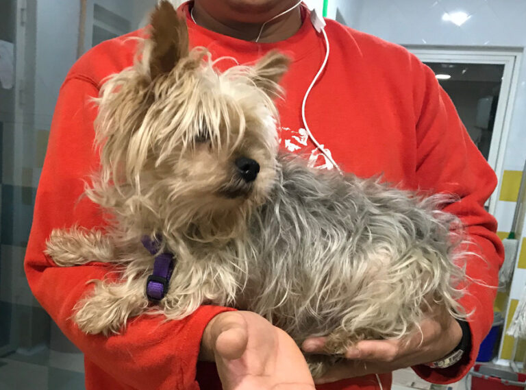 multimedia-foto53257-461-1