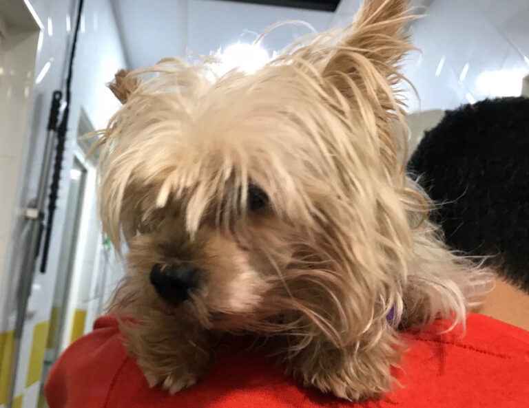 multimedia-foto53258-462-1