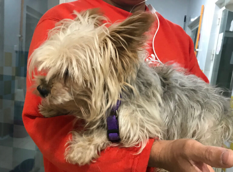 multimedia-foto53259-462-1