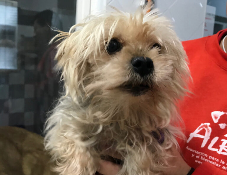 multimedia-foto53261-462-1