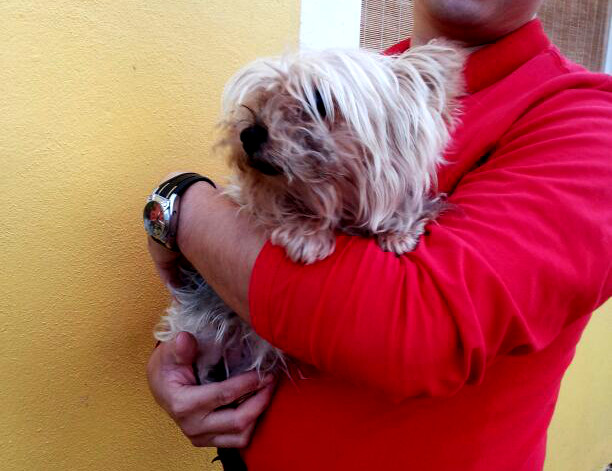 multimedia-foto53262-463-1