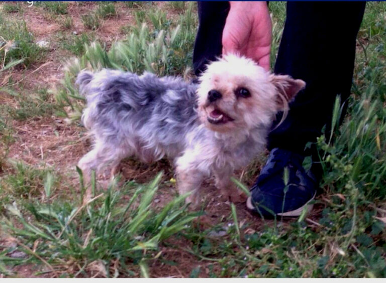 multimedia-foto53264-463-1