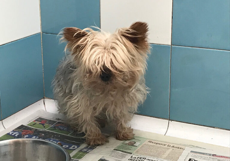 multimedia-foto53265-463-1