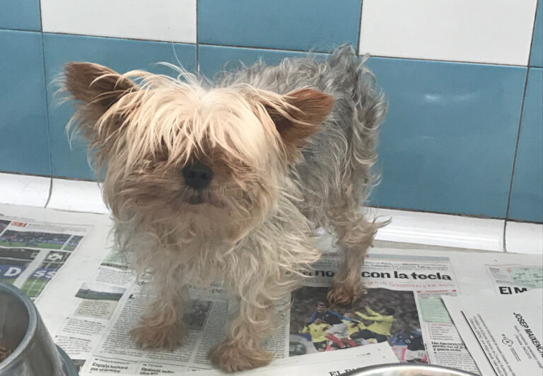 multimedia-foto53266-464-1