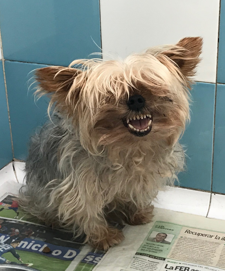 multimedia-foto53267-464-1