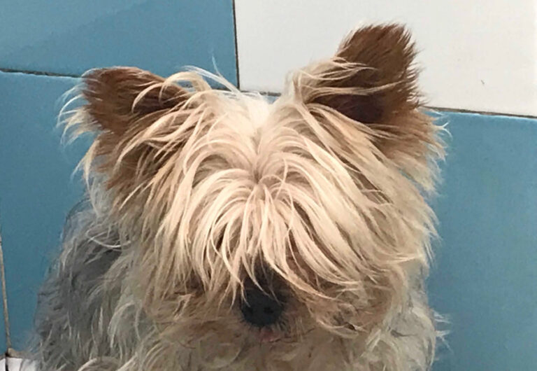 multimedia-foto53268-464-1