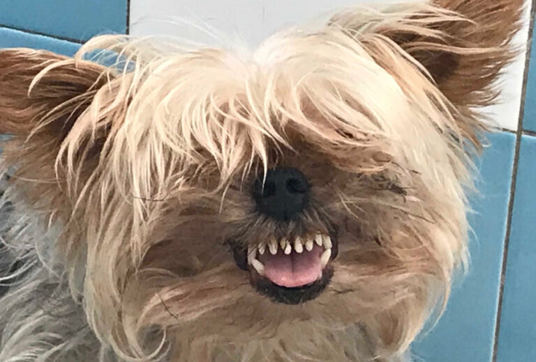 multimedia-foto53269-464-1