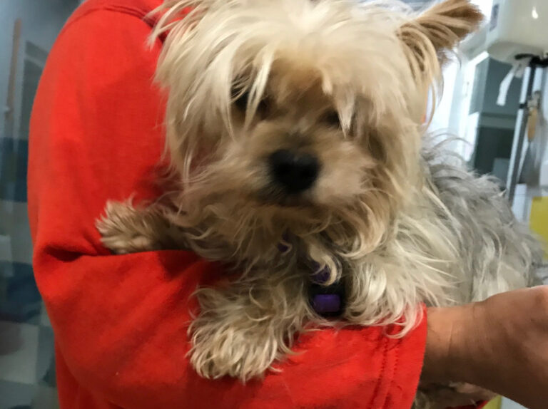 multimedia-foto53270-522-1