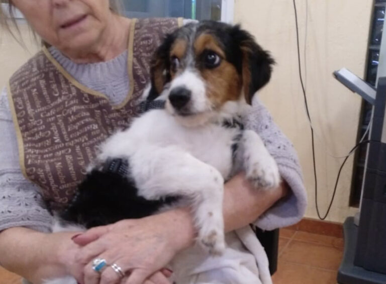 multimedia-foto53294-740-1