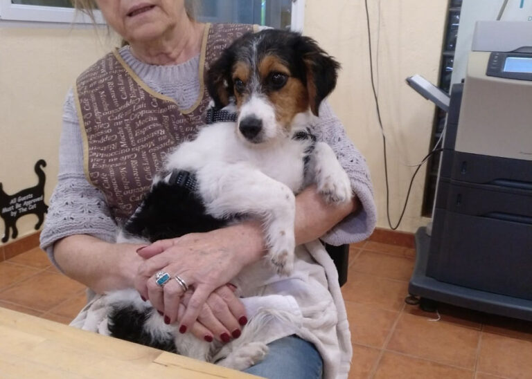 multimedia-foto53295-740-1