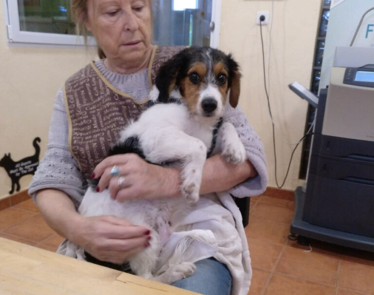 multimedia-foto53296-740-1