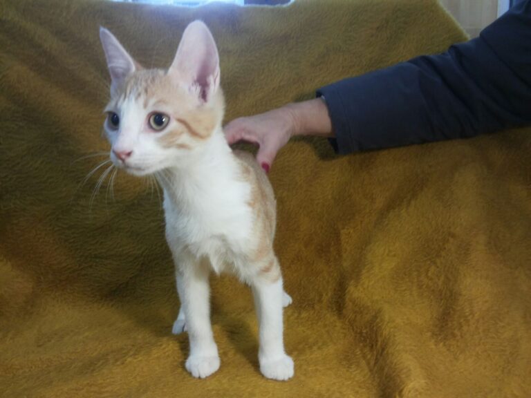 multimedia-foto53312-145-1