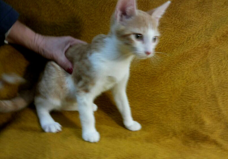 multimedia-foto53313-145-1