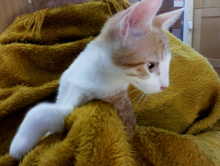 multimedia-foto53314-145-1