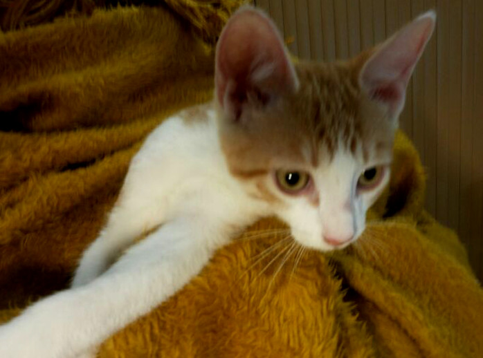 multimedia-foto53317-146-1