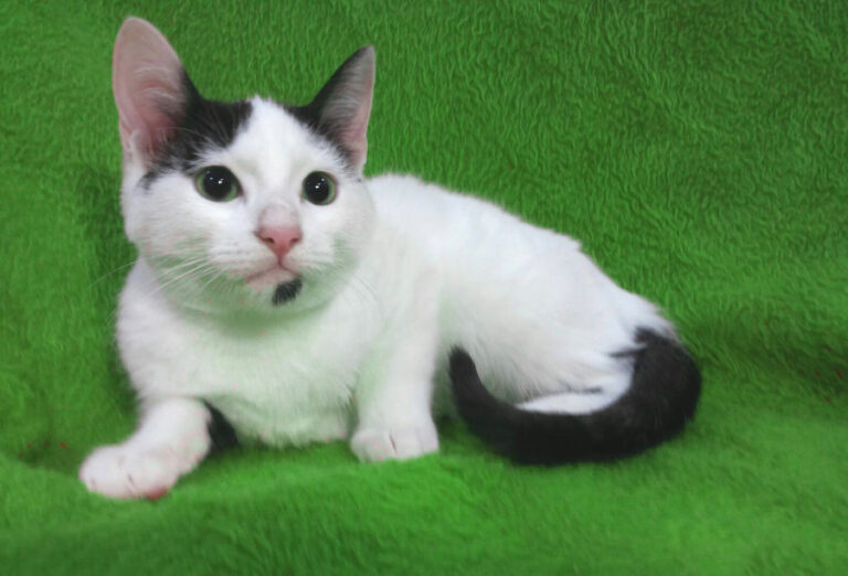 multimedia-foto53345-505-1