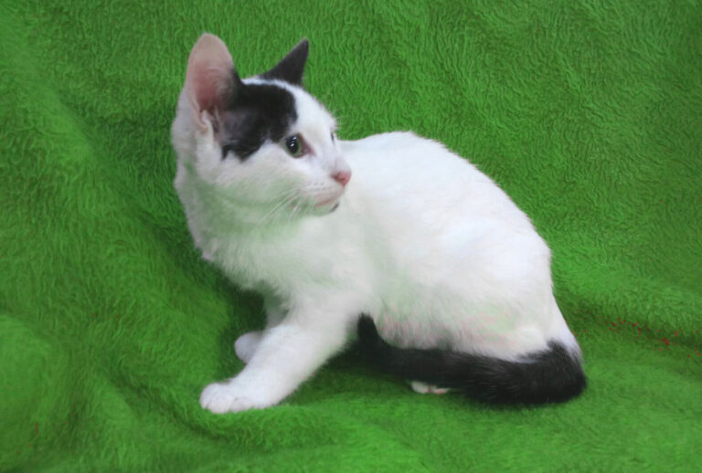 multimedia-foto53347-506-1