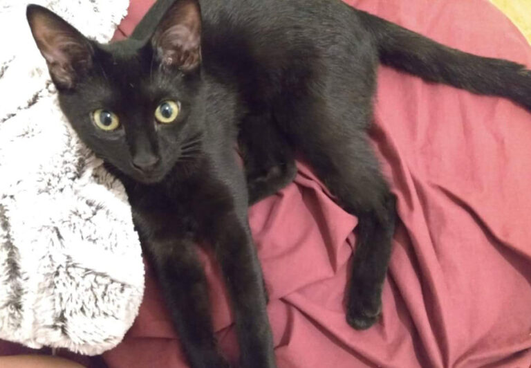 multimedia-foto53406-906-1