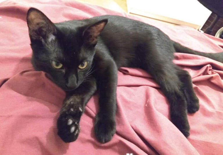 multimedia-foto53407-906-1