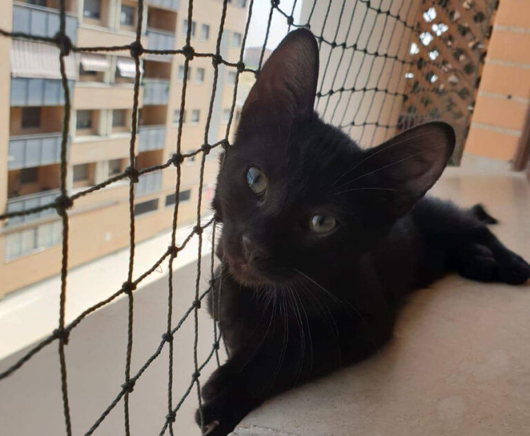 multimedia-foto53408-907-1