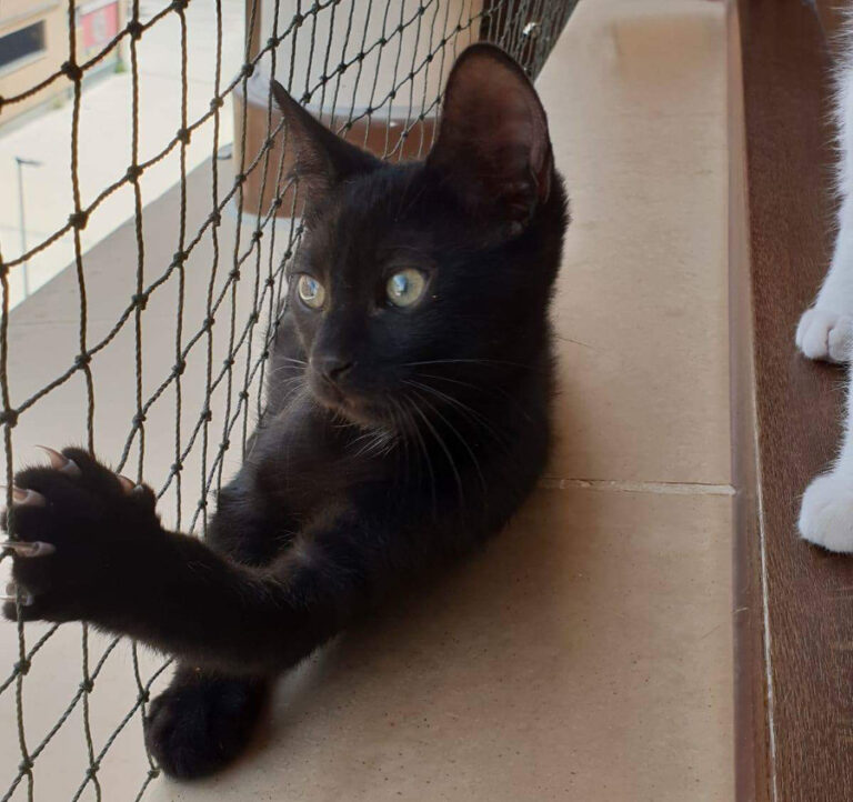 multimedia-foto53409-907-1