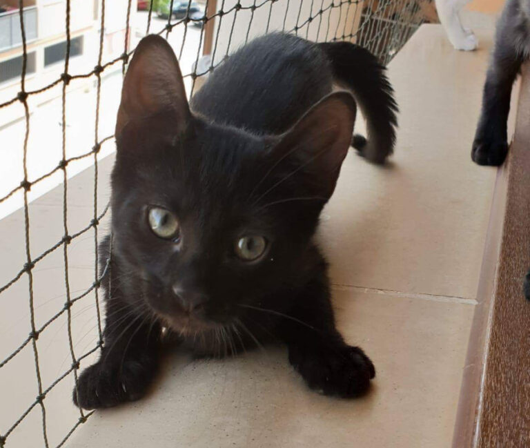 multimedia-foto53410-907-1