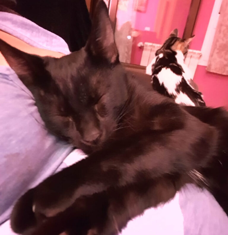 multimedia-foto53411-907-1