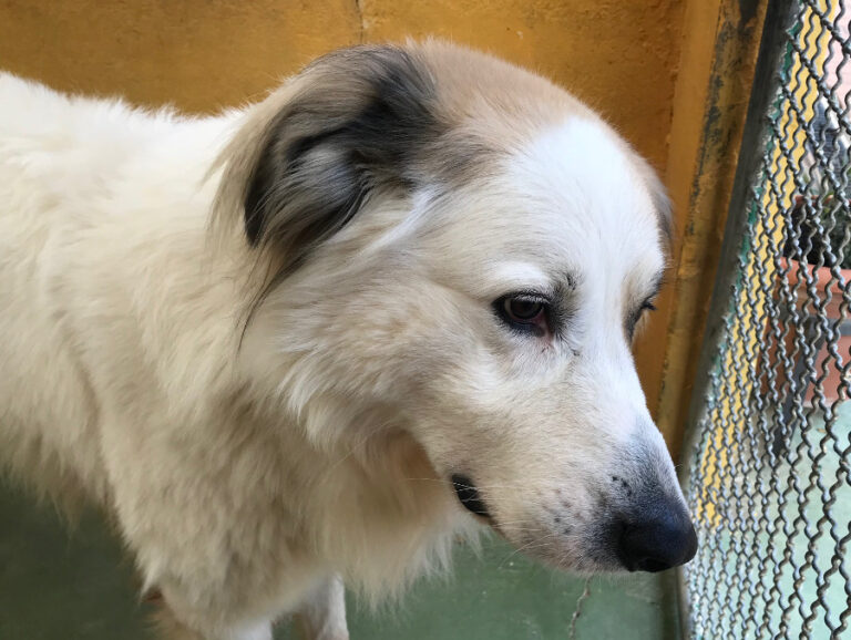 multimedia-foto53431-419-1