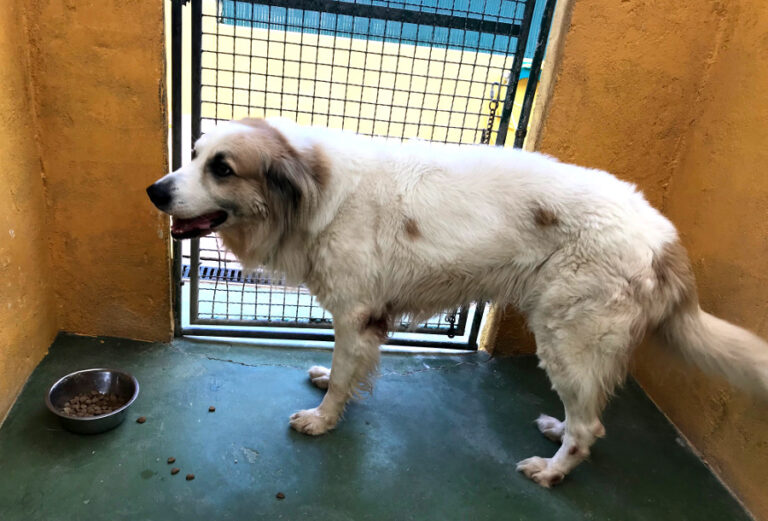 multimedia-foto53432-420-1