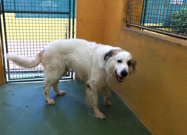 multimedia-foto53434-420-1