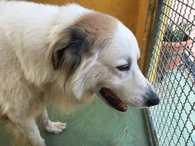 multimedia-foto53435-420-1