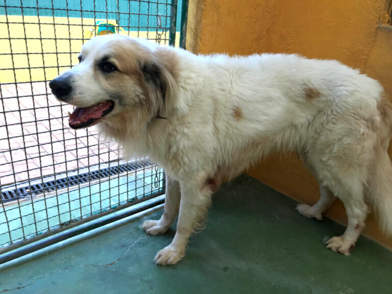 multimedia-foto53436-421-1