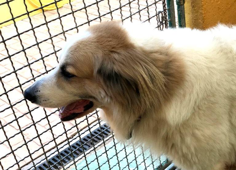 multimedia-foto53437-421-1