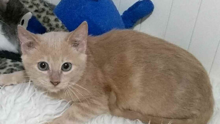 multimedia-foto53501-888-1