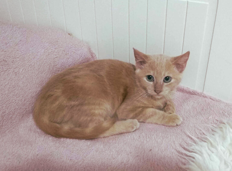 multimedia-foto53502-888-1