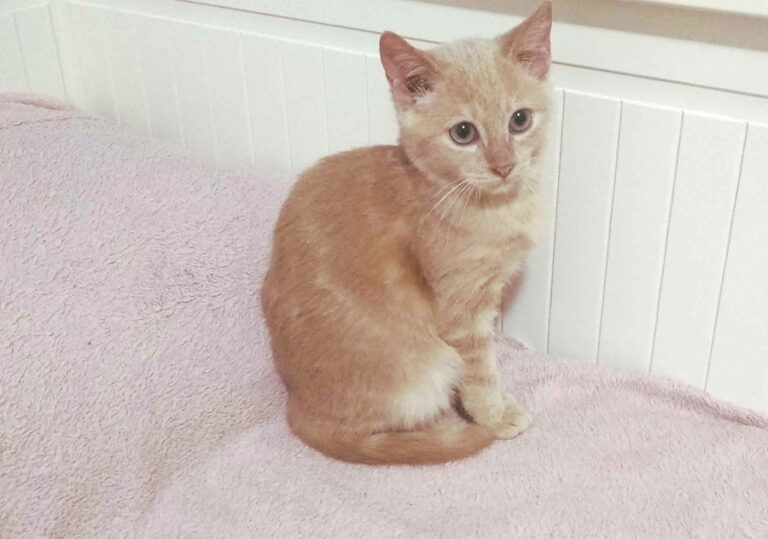 multimedia-foto53503-888-1