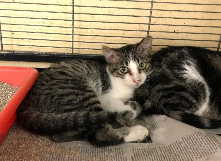 multimedia-foto53536-513-1