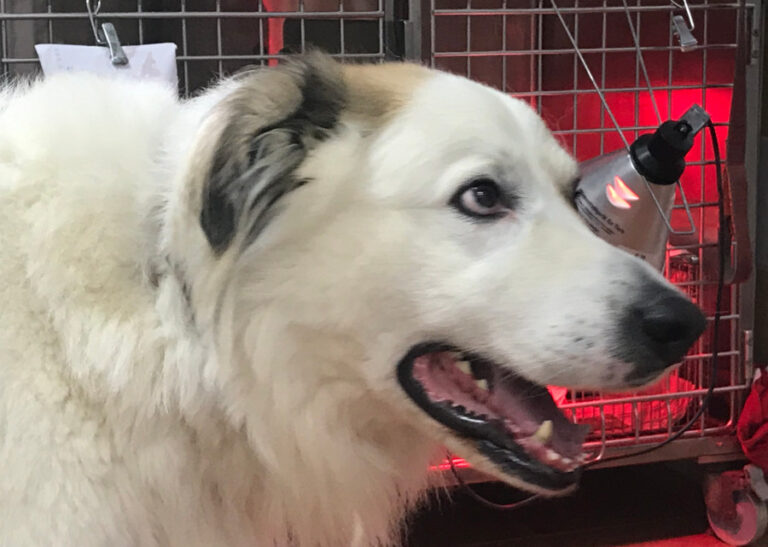 multimedia-foto53588-302-1