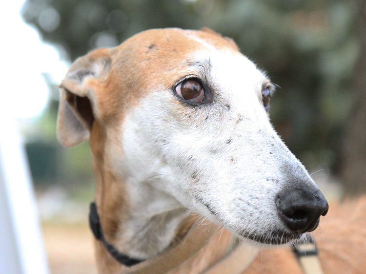 multimedia-foto53589-778-1