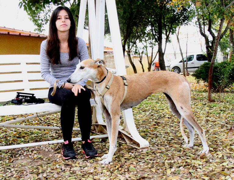 multimedia-foto53591-779-1