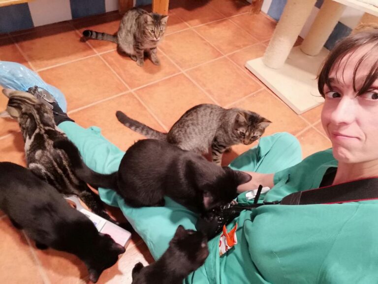 multimedia-foto53595-654-1